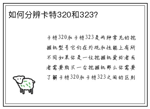 如何分辨卡特320和323？