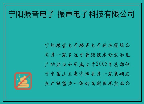 宁阳振音电子 振声电子科技有限公司